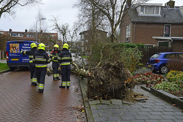 2022/23/20220131-14u07 GB 001 Sperwerstraat stormschade.jpg